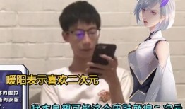 四对情侣爆料视频播放大全,视频播放大全揭秘恋爱瞬间